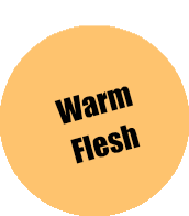 Monument Pro Acryl - Warm Flesh 22ml