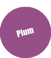 Monument Pro Acryl - Plum 22ml