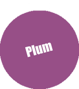 Monument Pro Acryl - Plum 22ml